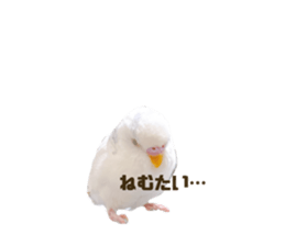 772272020