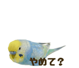 772272021