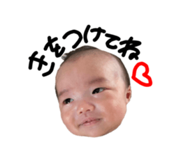 772272293
