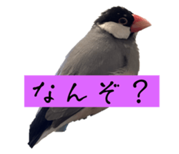 772276349