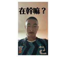 772298717
