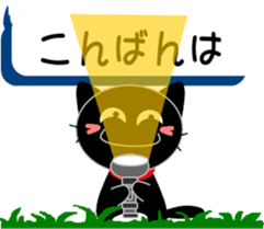 77229915