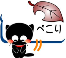 77229927