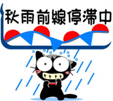 77229940