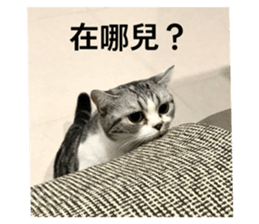 772299713