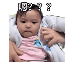 772299916