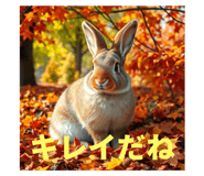 772300645