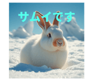 772300648