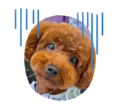772301734