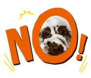 772301736