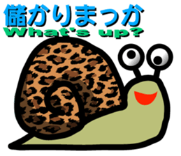 7723068