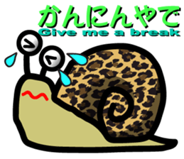 7723075