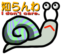 7723080