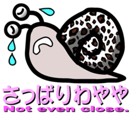 7723087