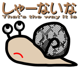 7723103