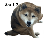 772313573