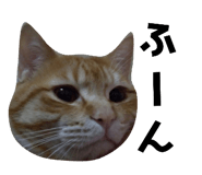 77233283