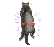 772339482