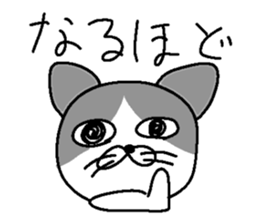 772340497