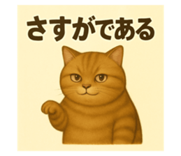 772348830