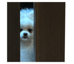 772359422