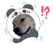 772373551