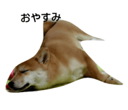 772374492