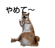 772374494