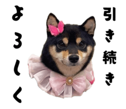 772375022
