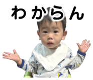 772375053