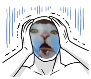772375102