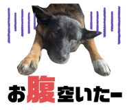 772375109