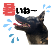 772375113