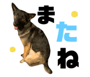 772375125