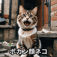 772384307
