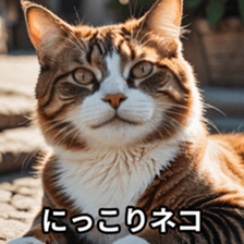 772384316