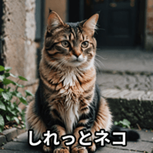 772384336
