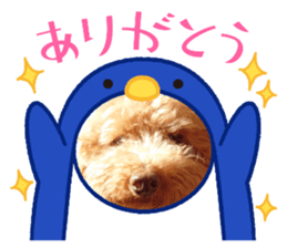 772388018