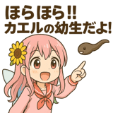 772399651