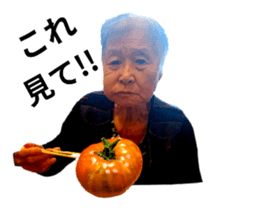 772400341