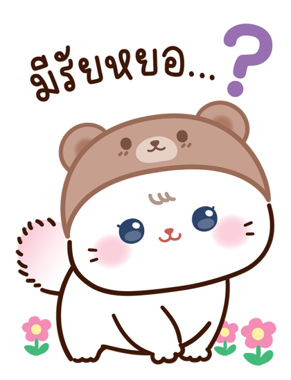 เหมียวแคทแบร์รี่ : น่ารักทุกวัน รูปที่ 3