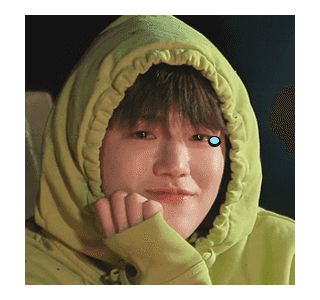 ลายที่ 15