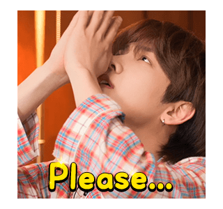 ลายที่ 27