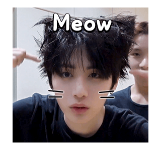 ลายที่ 31