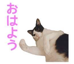 772409457