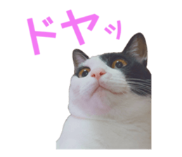 772409460