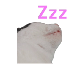 772409463