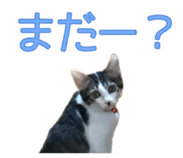 772409489