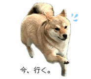 772425441