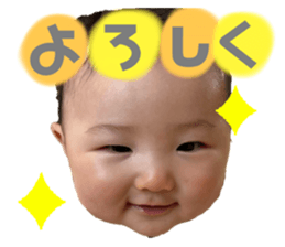 772428023